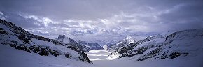 the aletsch glacier 