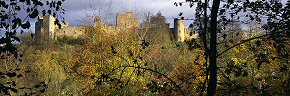 leaves and shadows, ludlow castle